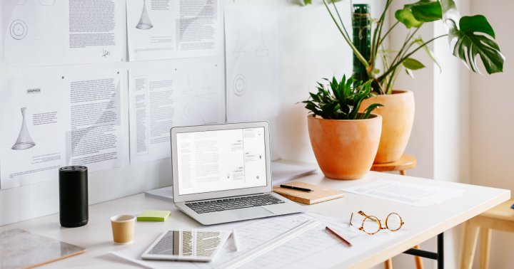 Why You Ought to Have A Plant On Your Desk, In accordance To Science