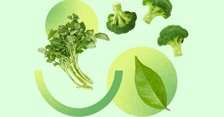 You Might Want Lab Exams To Decide What Detox Is Proper For You