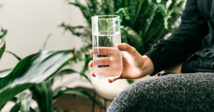 12 Issues You Want To Know Earlier than Attempting Intermittent Fasting
