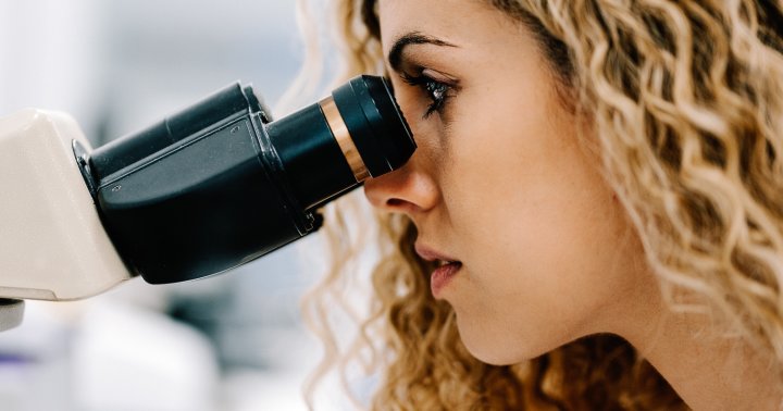 In A Trial, This New Plant-Based Drug Shows Promise For Cancer Treatment