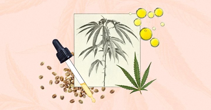 Hemp vs. CBD: What’s The Distinction?
